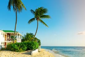 Your Complete Guide to Company Incorporation in Barbados